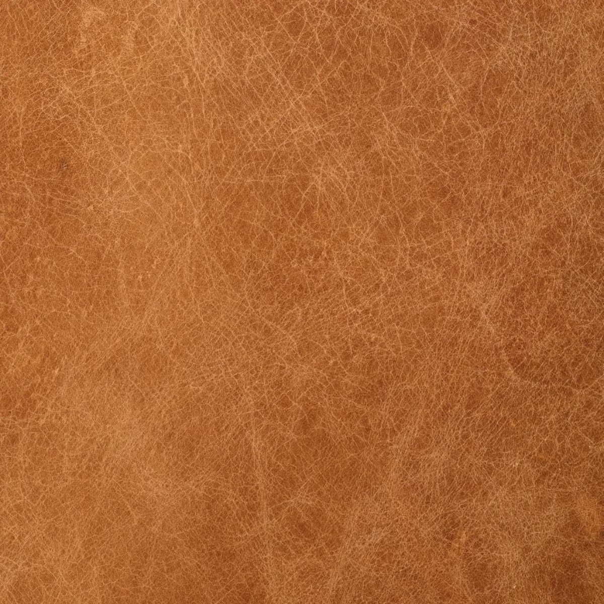 Corrected leather: a uniform tan grain with no visible scars or variation